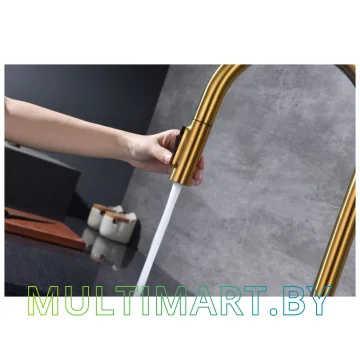 Смеситель Paulmark Universal Un213880-BG (брашированное золото) картинка 10